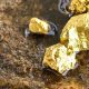 bacterias depósitos de plata y oro