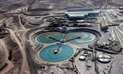 Grupo México proyecta menor producción de cobre por conflicto en Cuajone