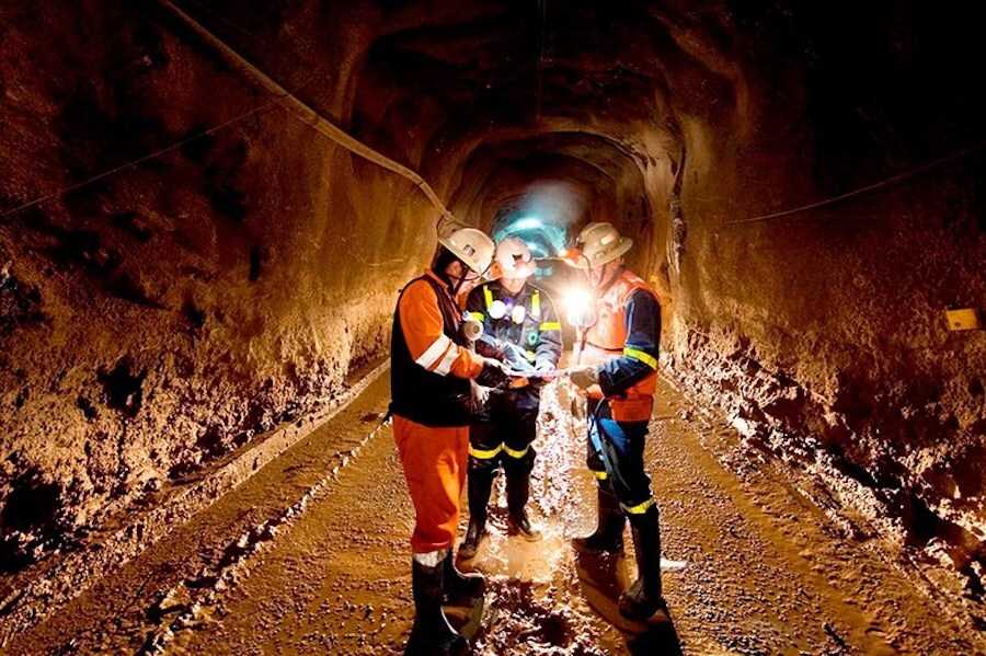 Profesionales en minería